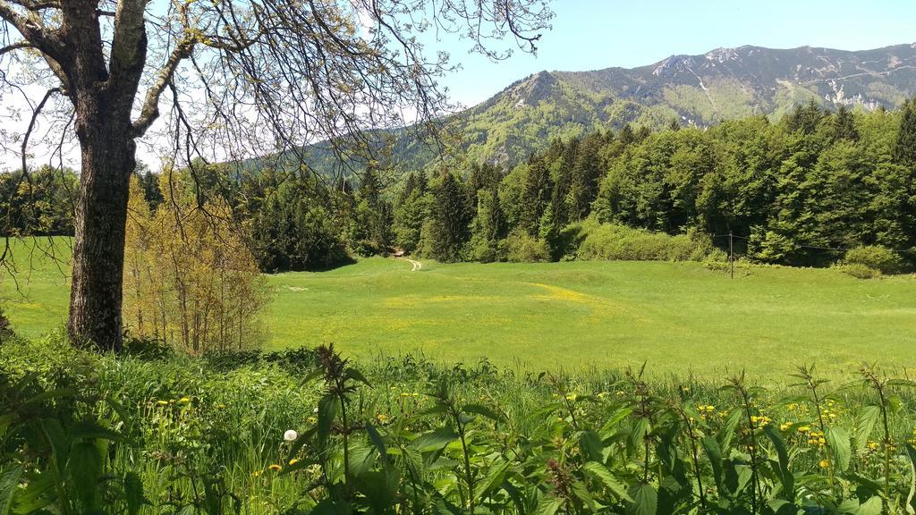 Casa Camilla Holiday Folgaria Luaran gambar