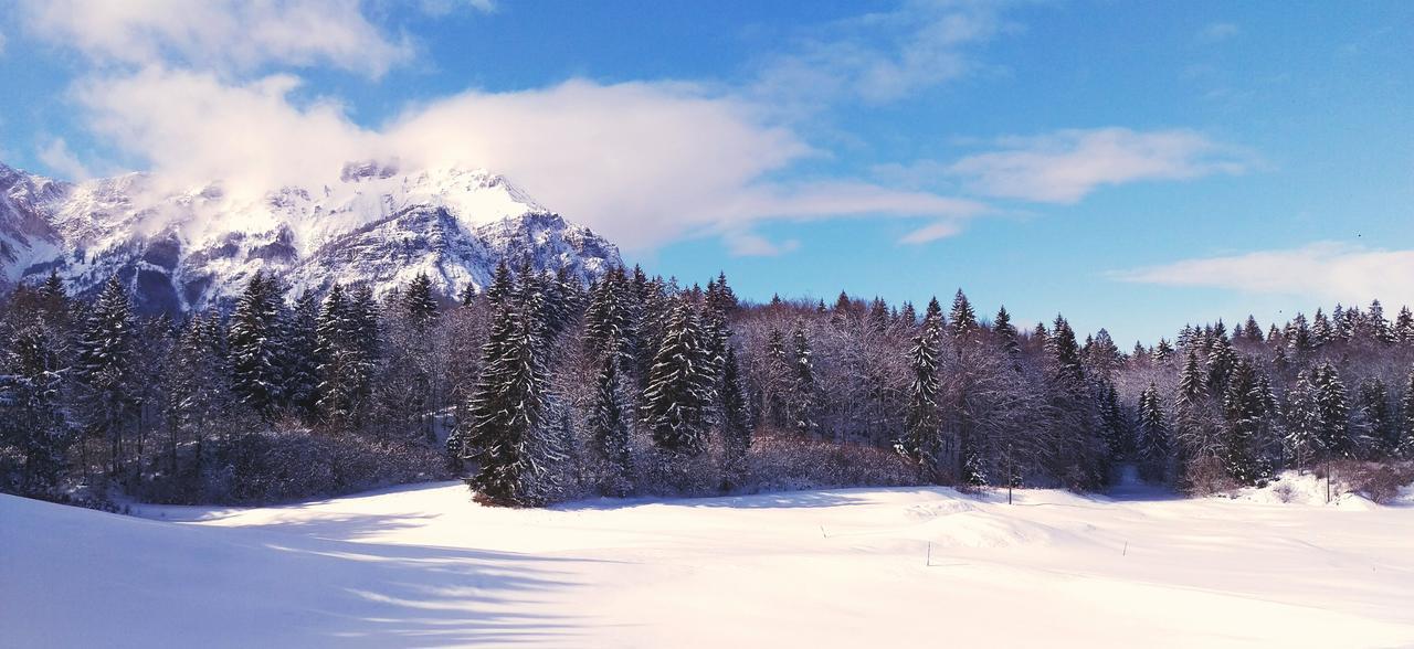 Casa Camilla Holiday Folgaria Luaran gambar